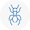 Ant Removals In Chesham