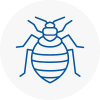 Bed Bug Extermination In Chesham