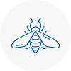 Bee Nest Removal Chesham