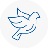 Bird Prevention Chesham