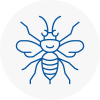 Chesham Hornet Nest Removals