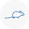 Mice Exterminators In Chesham