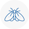 Moth Control Specialists In Chesham