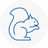 Chesham Rodent Removals