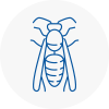 Chesham Wasp Nest Removal
